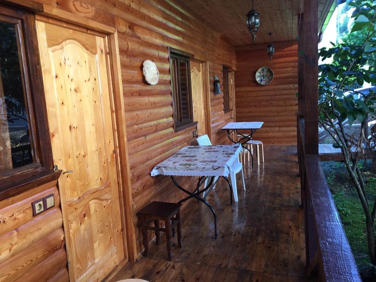 Guest House Nana Gagra Luaran gambar