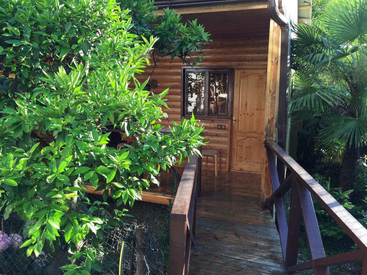 Guest House Nana Gagra Luaran gambar