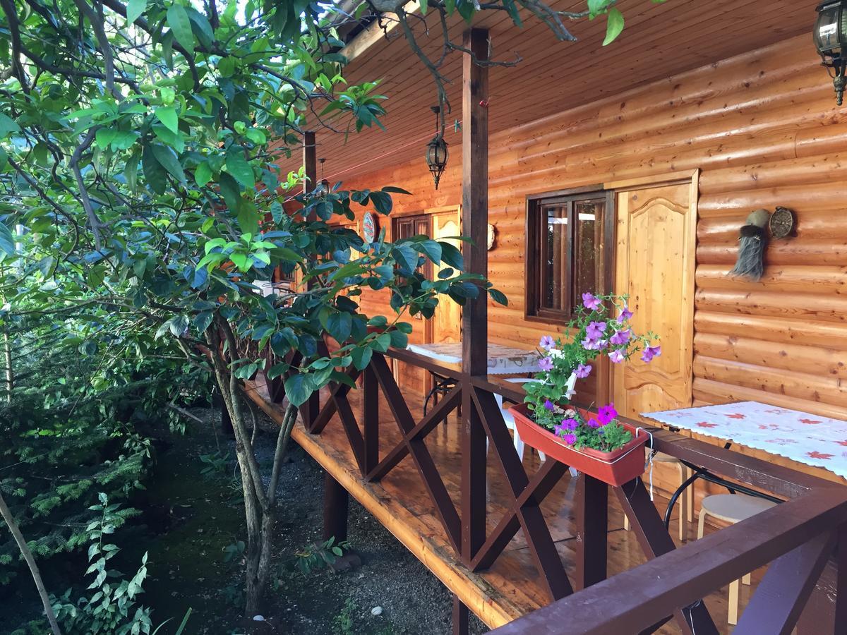 Guest House Nana Gagra Luaran gambar