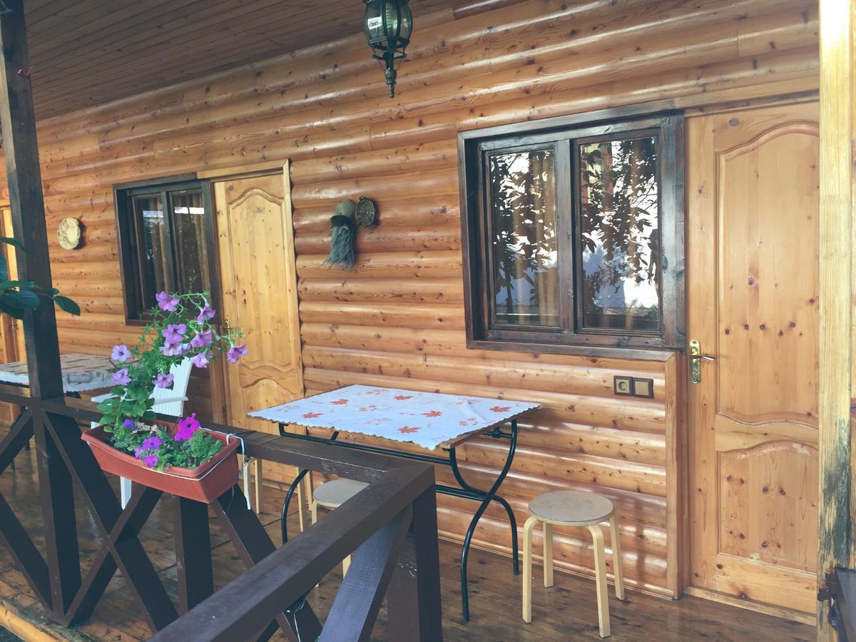 Guest House Nana Gagra Luaran gambar