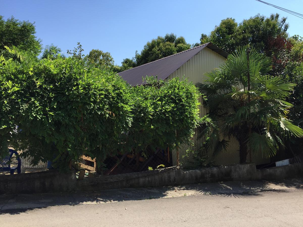 Guest House Nana Gagra Luaran gambar