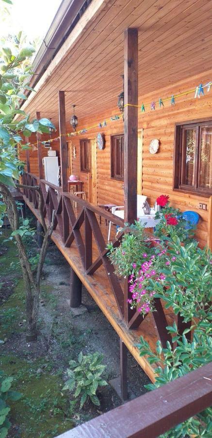 Guest House Nana Gagra Luaran gambar